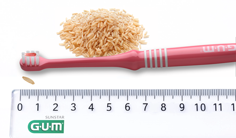рис